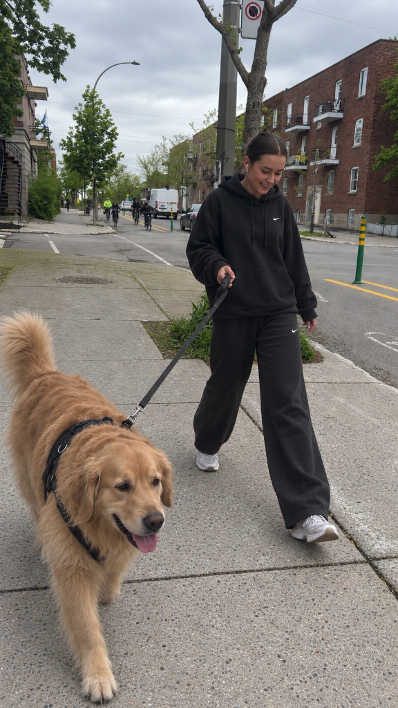 Anne-Marie promenant un chien