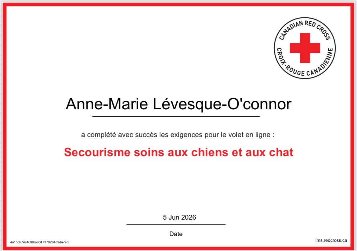 Diplôme Croix-Rouge Canadienne – Secourisme soins aux chiens et aux chats